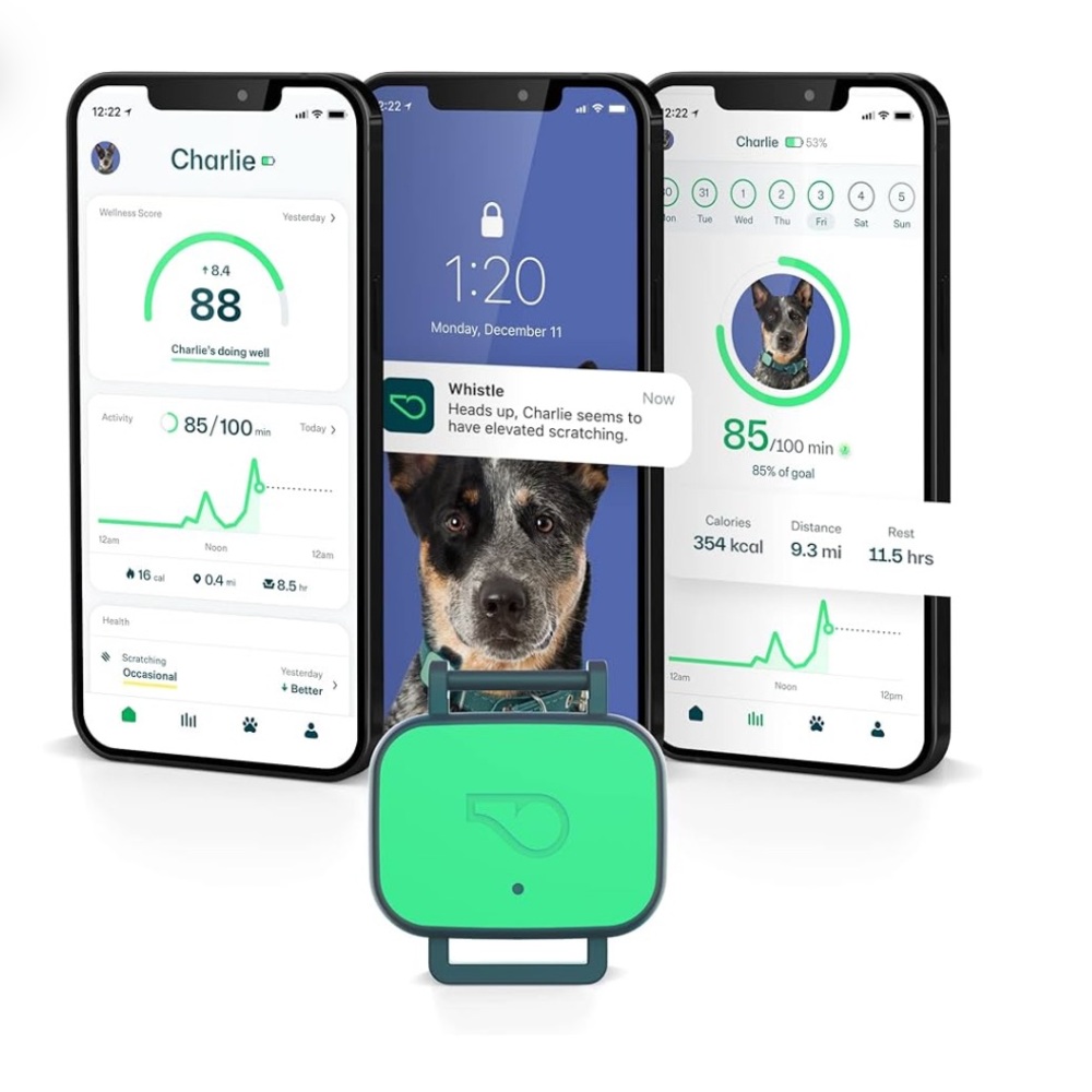 Whistle Health Smart Device • Dog Health & Fitness Tracker